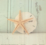 Sea Still I