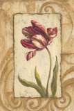 Classic Tulip II