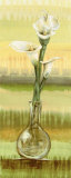 Buy Calla Lilies at AllPosters.com