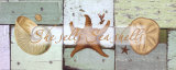 She Sells Sea Shells