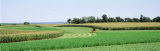 Harvesting, Farm, Frederick County, Maryland, USA
