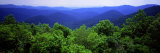 Smoky Mountain National Park, Tennessee, USA