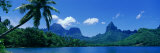 Lush Foliage and Rock Formations, Moorea Island, Tahiti