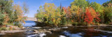 Trees Near a River, Bog River, New York State, USA