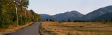 Trees on One Side of Loj Road, Sawtooth Mountain, Lake Placid, New York State, USA