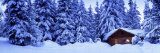 Buy Lost Lake Cabin, British Columbia, Canada at AllPosters.com