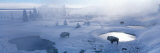 Buy Bison West Thumb Geyser Basin Yellowstone National Park, Wyoming, USA at AllPosters.com