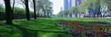 Public Gardens, Loop, Cityscape, Grant Park, Chicago, Illinois, USA