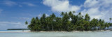 Palm Trees on an Island, Rangiroa, French Polynesia