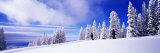 Steamboat Springs, Colorado, USA