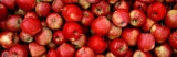 Close-up of Red Apples