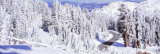 Lassen Volcanic National Park, California, USA