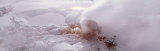 Bison Geyser, Yellowstone National Park, Wyoming, USA