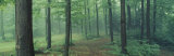 Chestnut Ridge Park, Orchard Park, New York State, USA