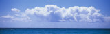 Buy Caribbean Sea at AllPosters.com