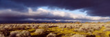 Buy Clouds, Mojave Desert, California, USA at AllPosters.com