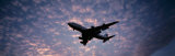 Boeing 747 Airplane in Flight Against Evening Clouds