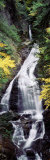 Waterfall in the Forest, Moss Glen Falls, CC Putnam State Forest, Stowe, Vermont, USA