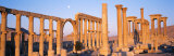 Ruins, Palmyra, Syria