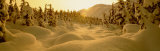 Buy Sunset, Turnagain Pass, Alaska, USA at AllPosters.com