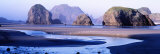 Sea Stacks, Myers Creek Oregon, USA Photographic Print