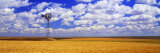 Windmill Wheat Field, Othello, Washington State, USA