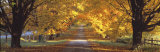 Road, Baltimore County, Maryland, USA
