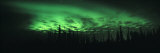 View of the Northern Lights, Aurora Borealis, Fairbanks, Alaska, USA