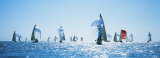 Sailboat Race, Key West Florida, USA