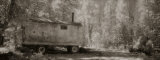 Buy Sepia, Black and White, Trailer in the Woods at AllPosters.com
