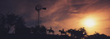 Sunset, Cowboys, Texas, USA
