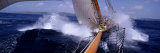 Yacht Race, Caribbean