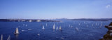 Yacht Race, Sydney Harbor, Australia