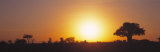 Buy Sunset, Tarangire, Tanzania, Africa at AllPosters.com
