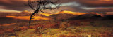 Snowdonia National Park, Wales, United Kingdom