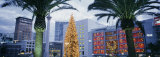 Decorated for Christmas/Winter Holidays, Union Square, San Francisco, California, USA
