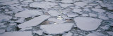 Buy Pack Ice, Ross Sea, Antarctica at AllPosters.com