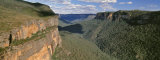 Buy Panoramic View of Valley, Blue Mountains National Park, Australia at AllPosters.com