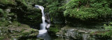 Panoramic View of a Waterfall, Ricketts Glen State Park, Pennsylvania, USA