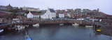 High Angle View of Boats Moored at a Harbor, Crail, Scotland, United Kingdom