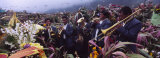Musicians Celebrating All Saint's Day by Playing Trumpet, Zunil, Guatemala