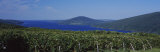 Vineyards Near a Lake, Canandaigua Lake, Finger Lakes, New York State, USA