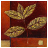 Crimson Leaf Study II