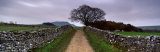 Stone Walls Along a Path, Yorkshire Dales, England, United Kingdom