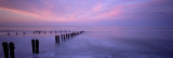 Buy Wooden Posts in Water, Sandsend, Yorkshire, England, United Kingdom at AllPosters.com