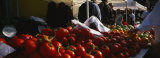 Tomatoes, Chicago Farmer