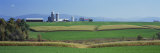 Fields of Corn and Alfalfa on a Landscape, Vergennes, Vermont, USA