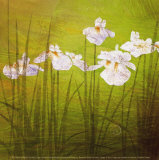 Buy Garden Delights II at AllPosters.com