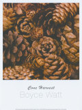 Buy Cone Harvest at AllPosters.com