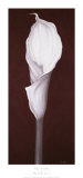 Buy My Small Lily I at AllPosters.com